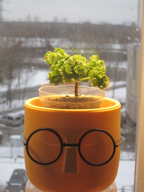 12 декабря 2022 г