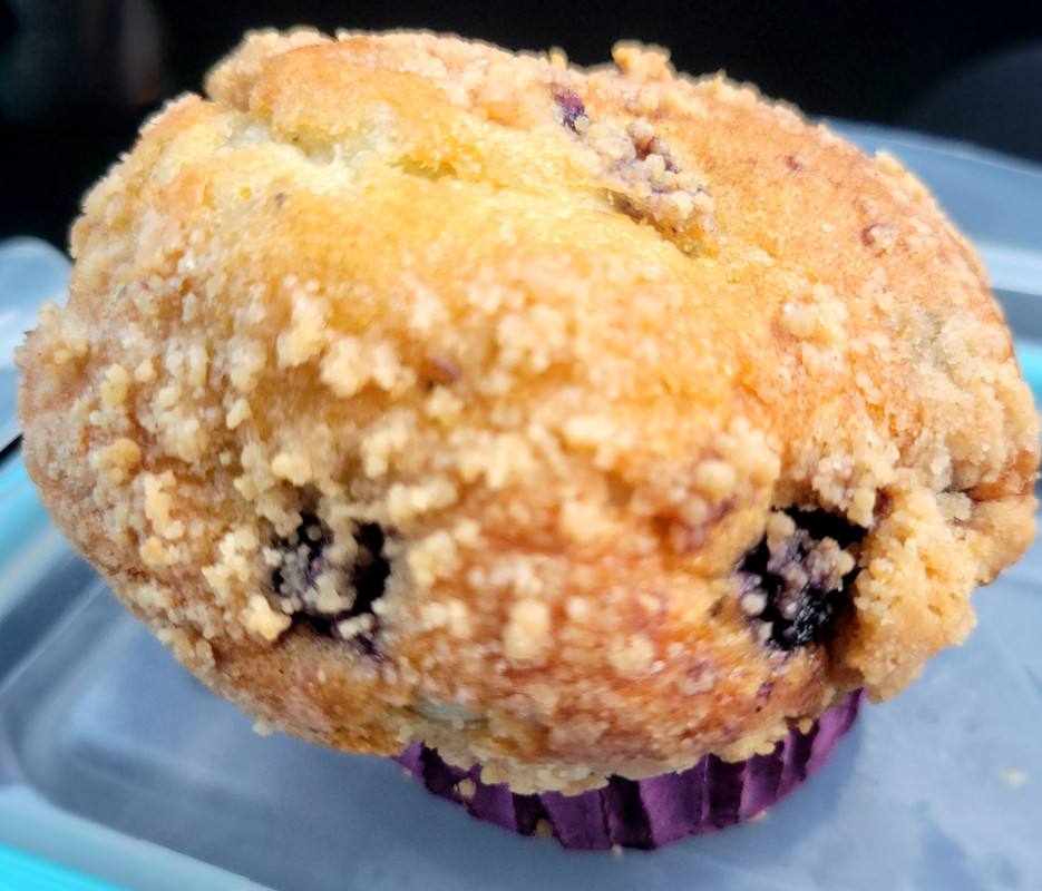Muffin-08-14-25.jpg
