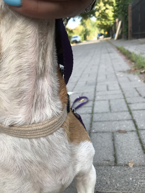 DB8F24DF-EB0F-4362-B6FC-C8A2A3C98105