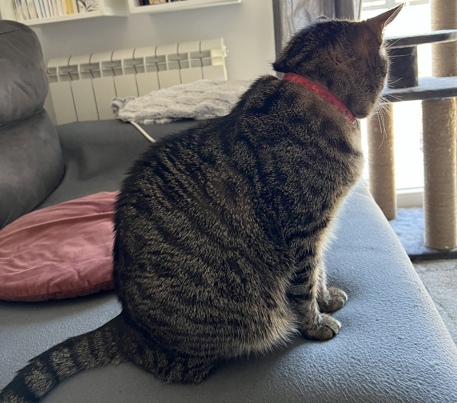 3F3C8E16-93E1-4934-ABAD-26480655746B