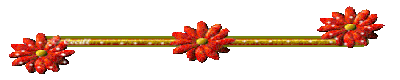 13161443-OINYG9-Z3.gif
