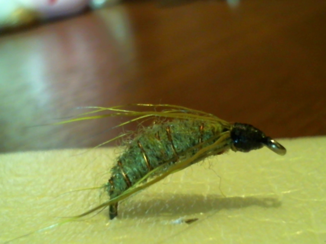 Копия (2) Picture 1