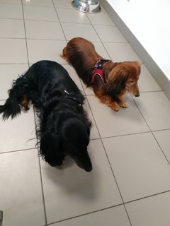 [Image: IMG-20210506-190859.jpg]