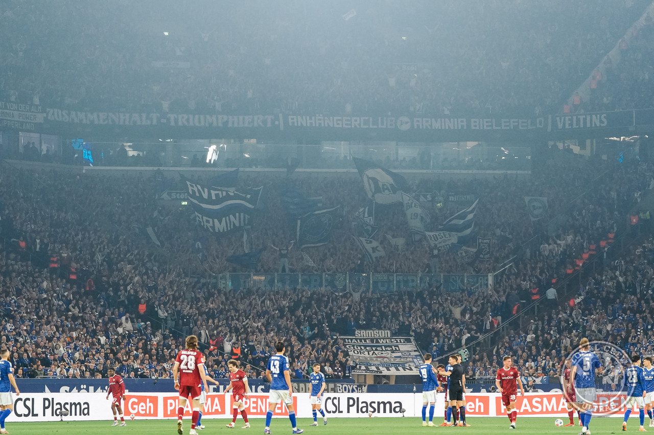 Schalke DSC 2