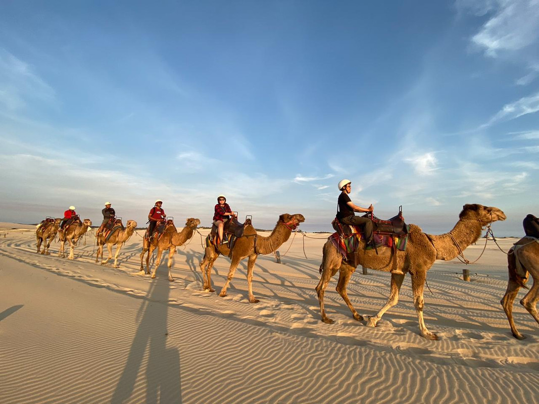 Sunset Camel Ride