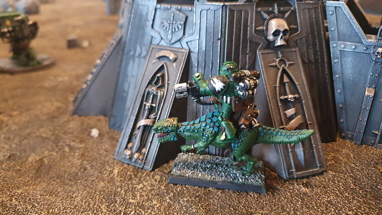 20211101_Salamanders_Taus (3)