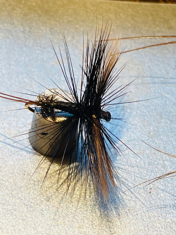 BD9F5D13-C6C9-41EC-80DB-6A90334EB539