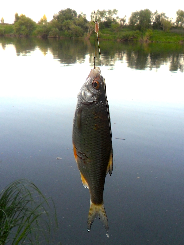 Кочебахтино 17-18.06.13г02