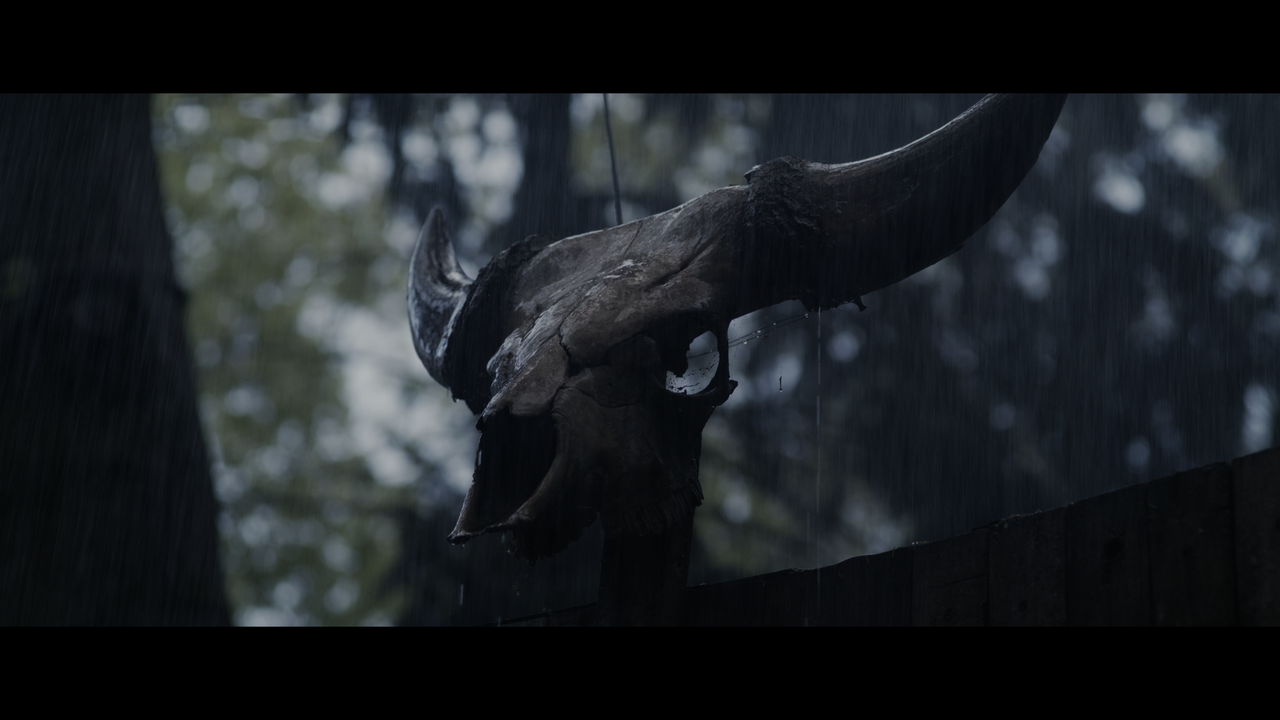 Winnie.The.Pooh.Blood.And.Honey.2023.2160p.BDREMUX.HEVC.HDR.DoVi-Нечипорук.mkv_snapshot_00.08.02.065