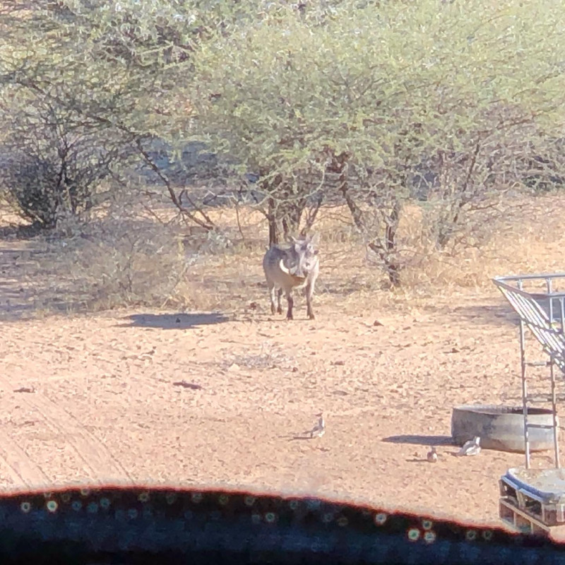 8FB895EC-E87C-4FDD-872A-235633D4E73D