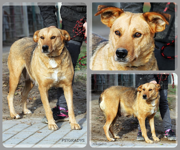 BeFunky-collage (18)