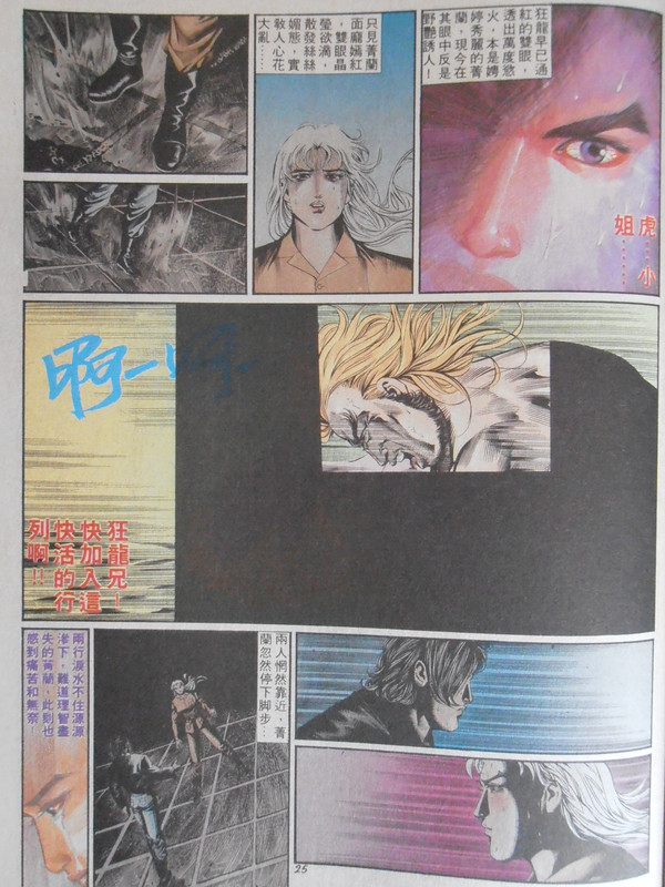 龍虎門:斩虎屠龍 龍虎門:斩虎屠龍