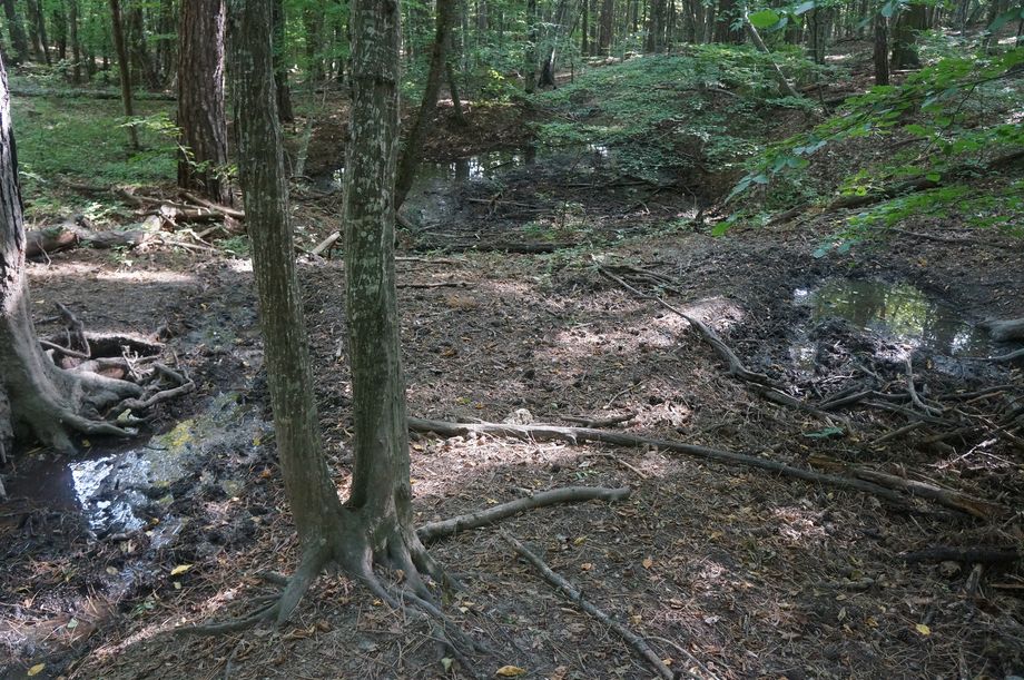 DSC03753_rodnik-262_rd2