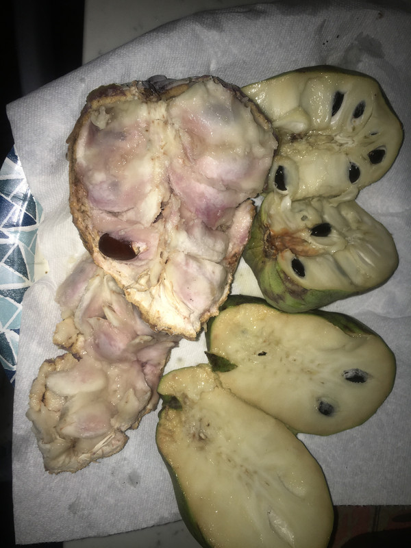 8B09D2B8-0976-4B1B-904D-CB05DC34A936