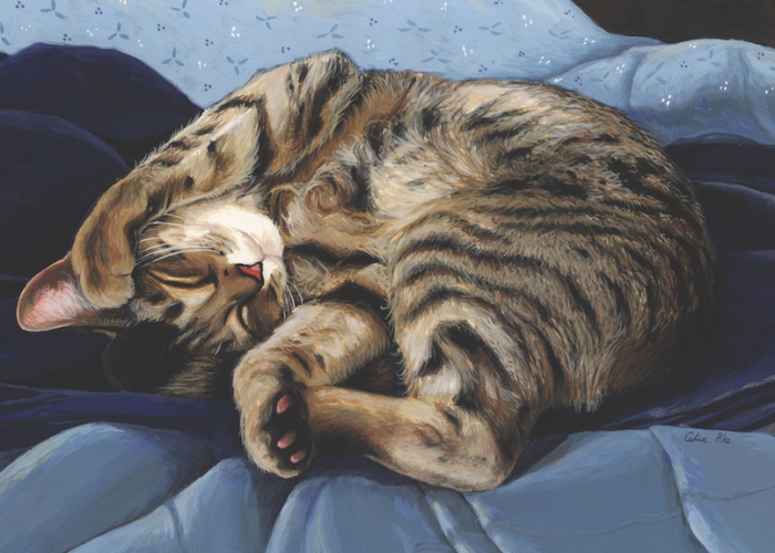 спящий кот в живописи. кошки маслом на холсте. коты художники джой кэмпбелл. картина спящие коты. художник альбина статных картины.