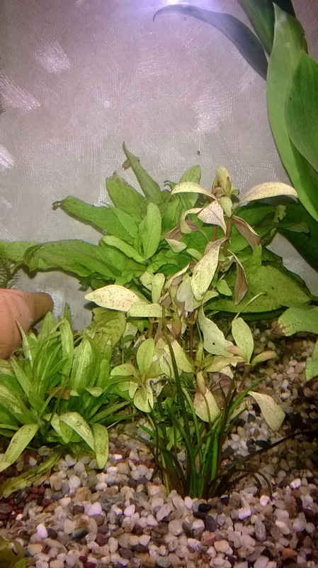 WP_20140217_001 (FILEminimizer)