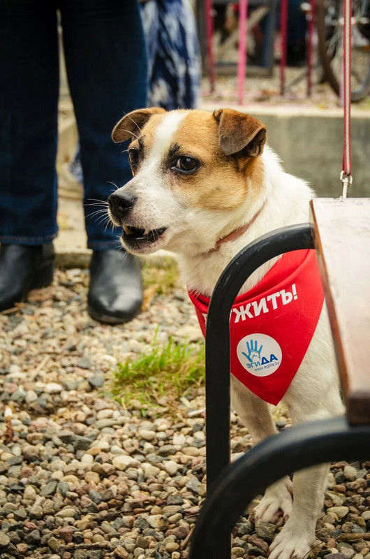 70D34648-F579-4829-B9C9-DD12AAEA8E0C