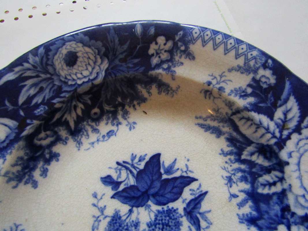 IMG 3283 — Postimages