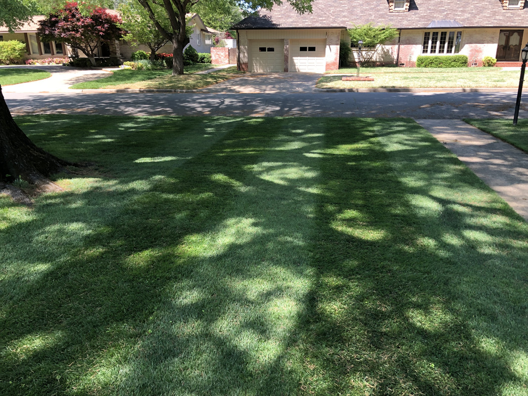 D0E362A0-59C5-4A37-8CFD-1F490E52F2A7