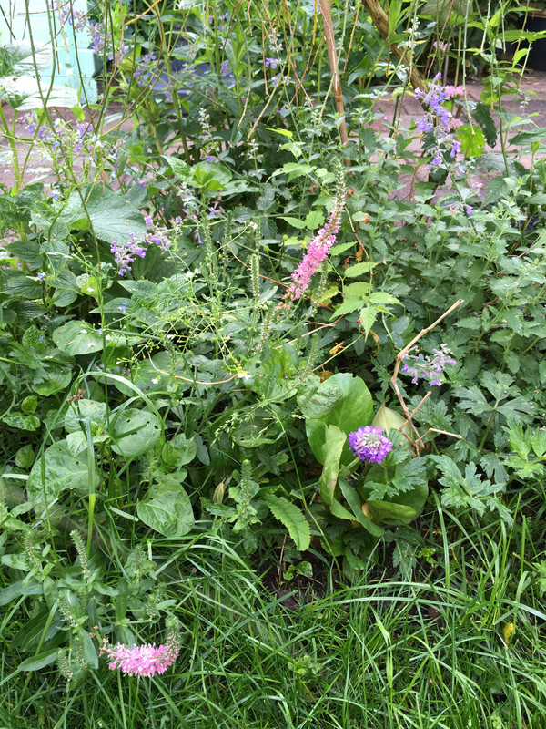 60A65744-875E-4A8E-917D-548B9C7F7BEF