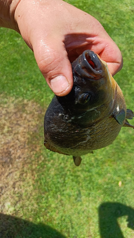 изображение_viber_2024-07-15_17-38-47-510