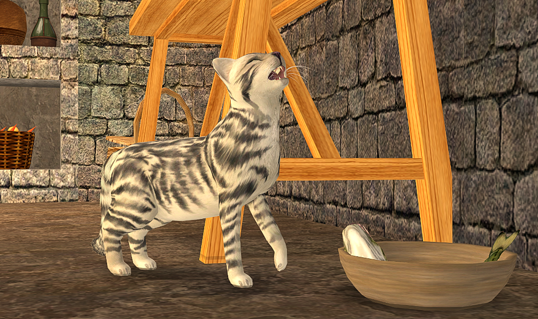 Greenshot-2025-10-24-20-46-01