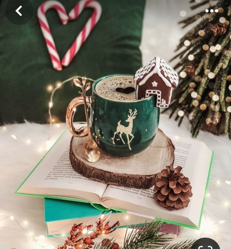 Screenshot_20231204_213150_Pinterest