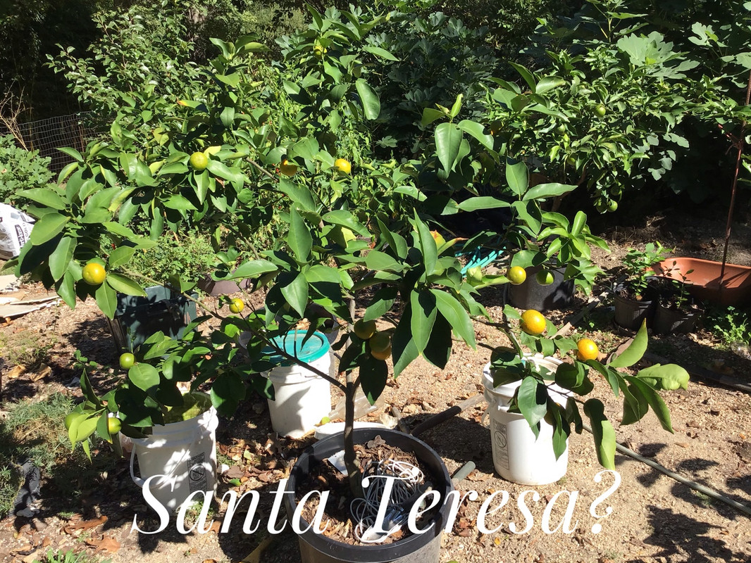 4DD361D5-5D9D-4F43-A53F-B6771CCEC867