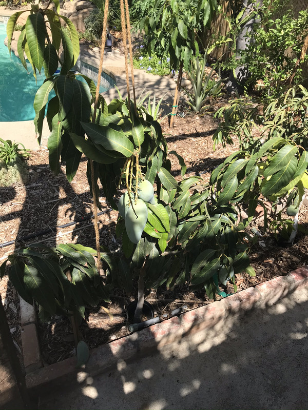 67E861DE-71A6-4E6E-B6DD-613DA2A1AB05