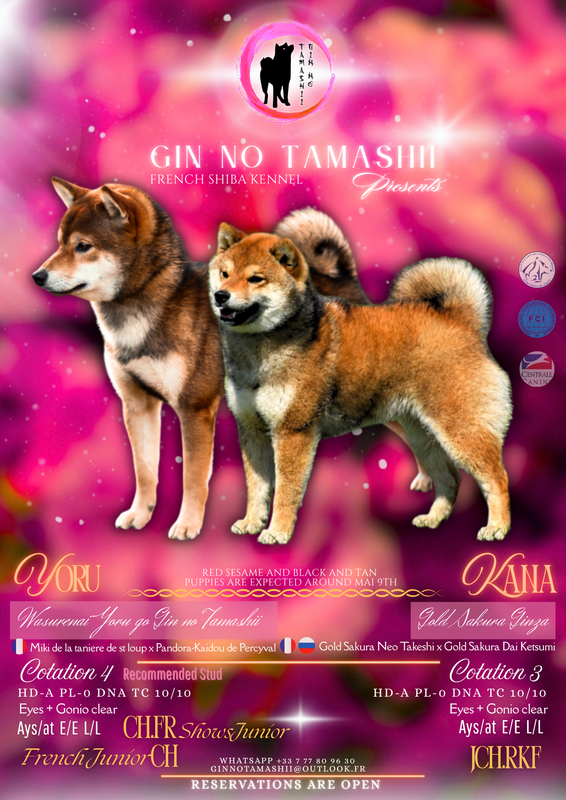 Kana-x-Yoru
