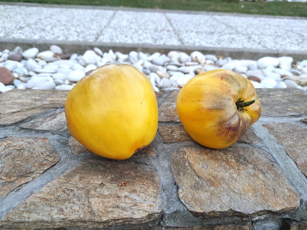 459547088_8264338756945084_4058786133738045135_n