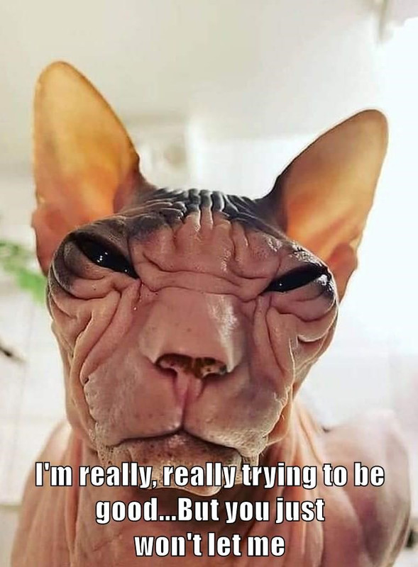 really-really-trying