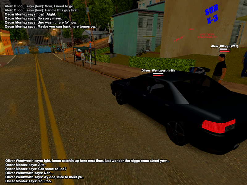 ss29.png
