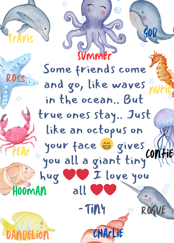 Octopus