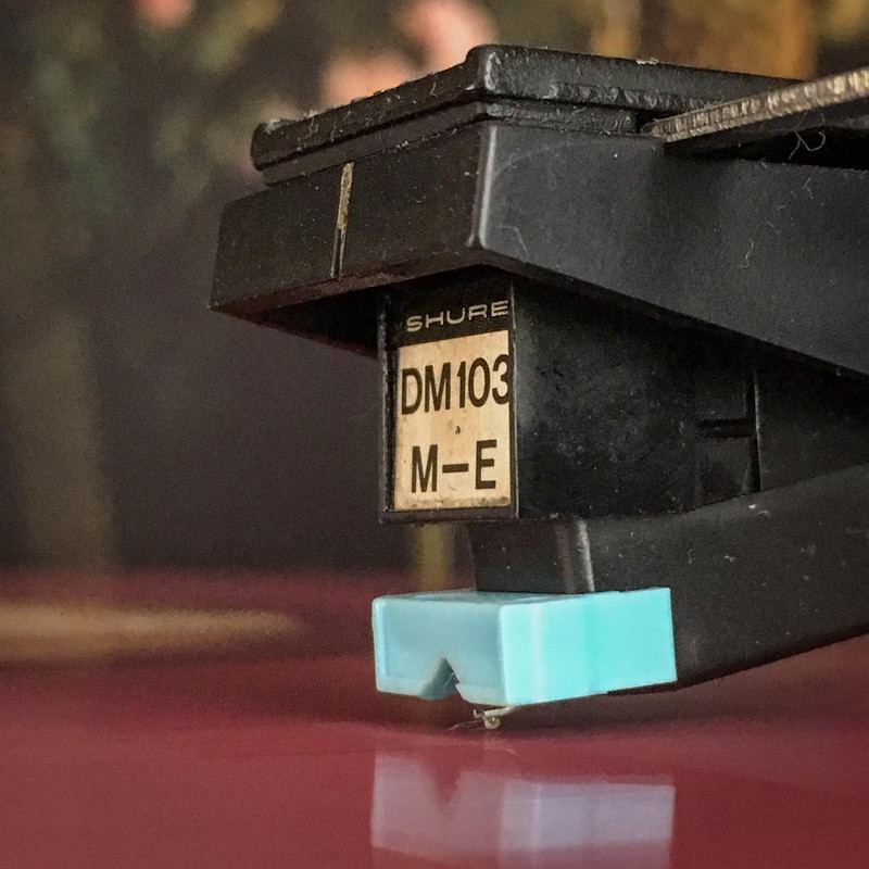 F&TM Lungs 10th (5 von 9)