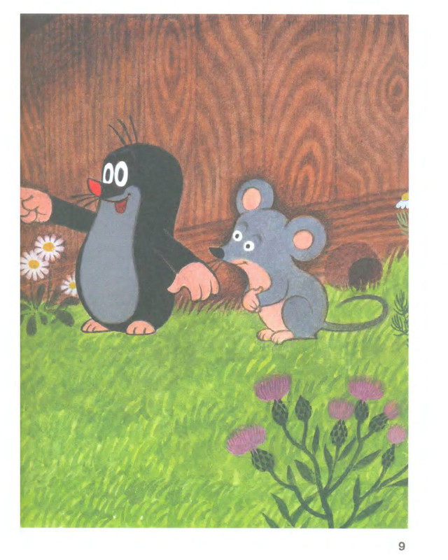 p0009
