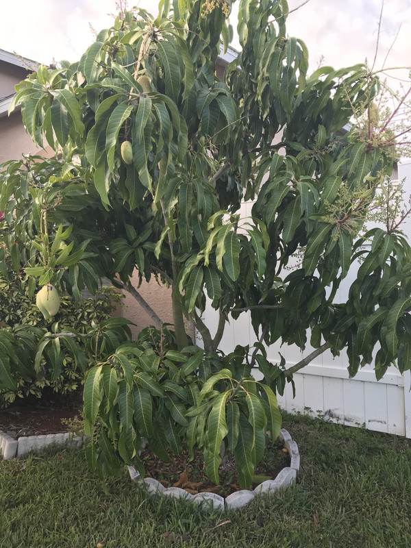 A5742CA6-7286-4837-B314-81A0D38F50C8