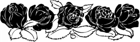 black rose 1