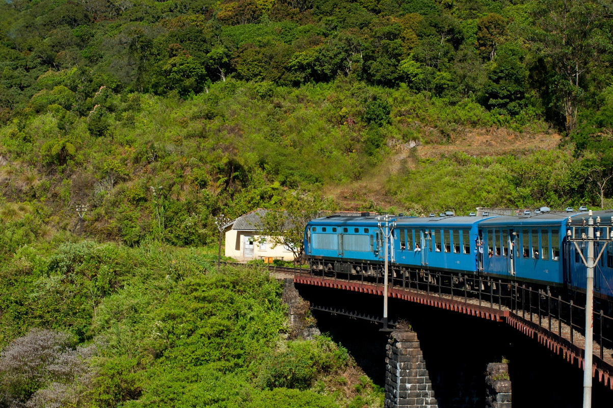 Bluetrain45.jpg