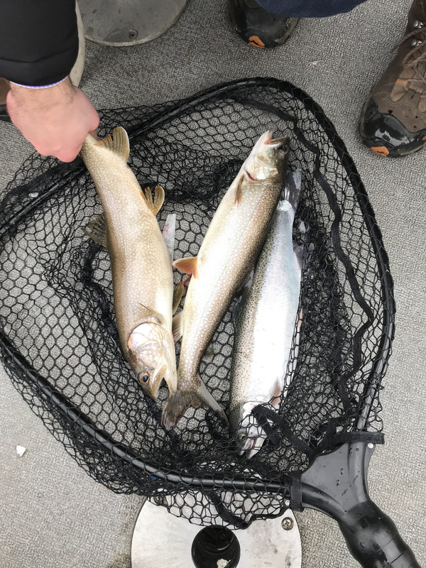 92A88DCA-728A-4AA1-8B14-3863E04C087D