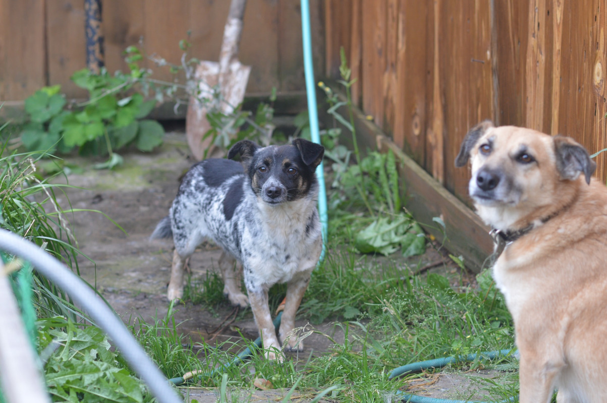 8E1A4E89-A736-41BA-B545-17CD29A74BE1