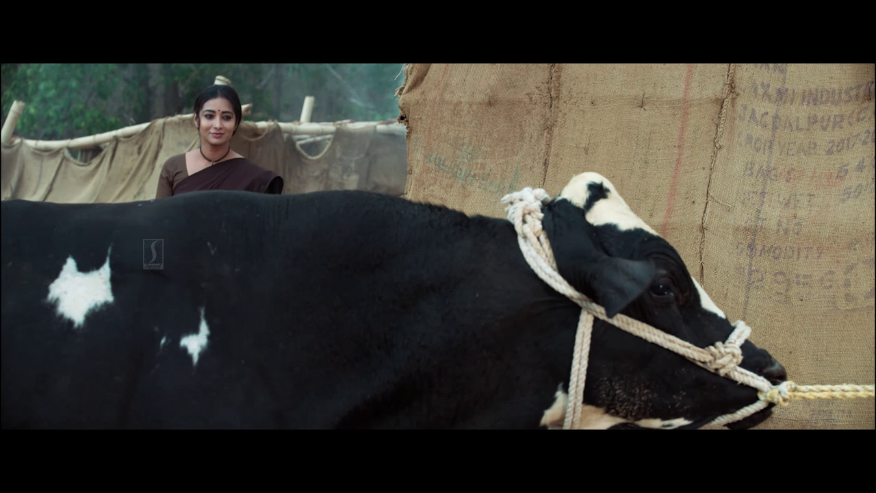 vlcsnap 2025 11 02 13h54m43s871