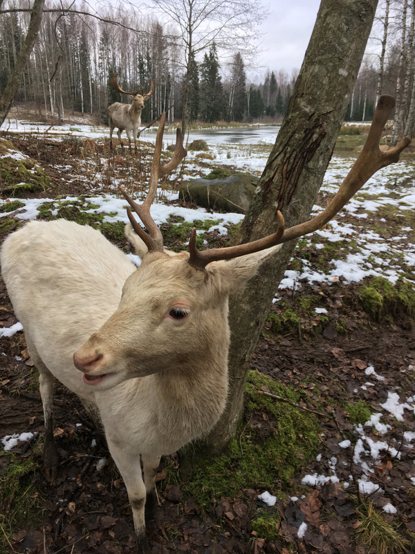 82B0A461-7EBE-48DB-B56A-6F5AC0DC0872