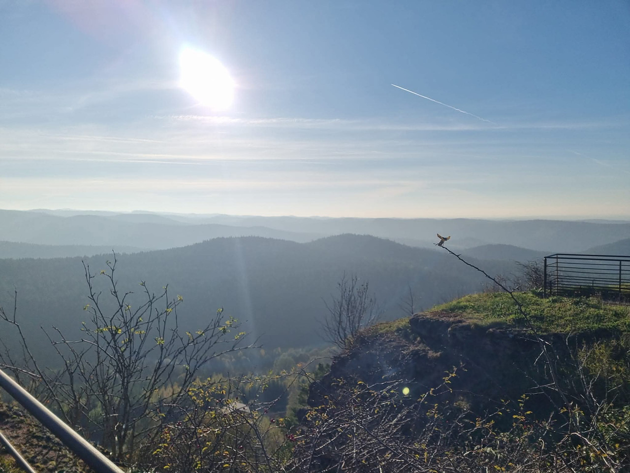 Whats App Image 2025 12 22 at 15 44 20 (1)