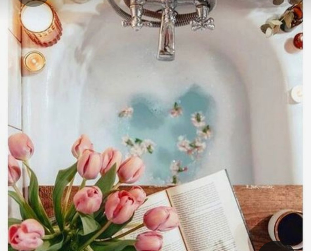 Screenshot_20230219_234325_Pinterest