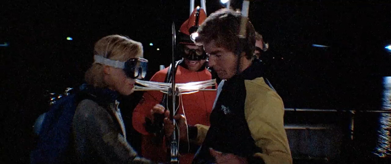 Jaws 3-D 1983 BluRay [Hindi + English] 480p 720p ESub Screenshot