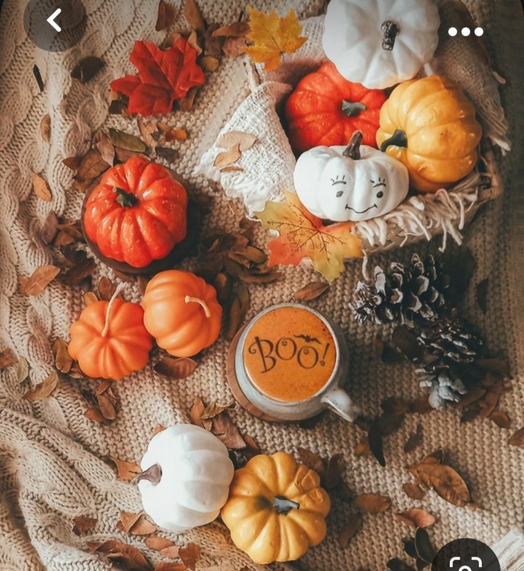 Screenshot_20231031_162734_Pinterest