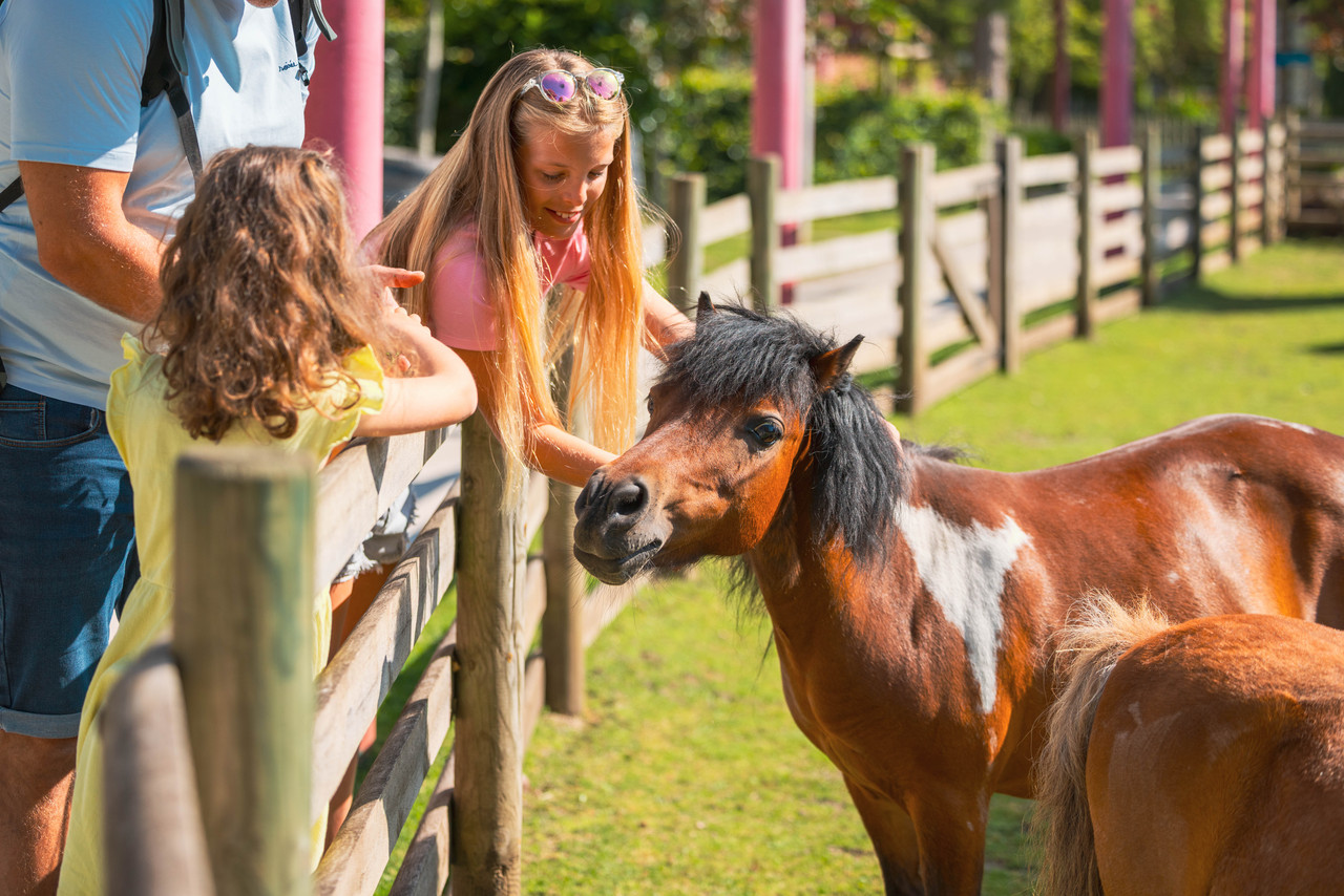 BAGATELLE 2025 Elisa Marq Photography 15