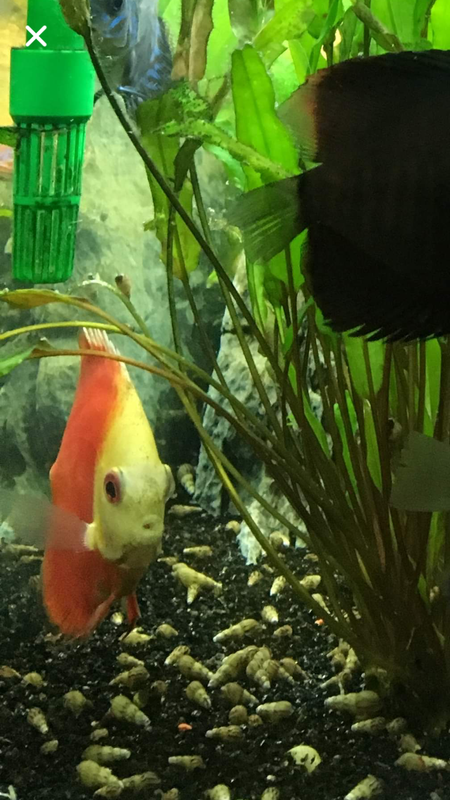 CE925148-6685-4DC1-88AA-1F18F5923CB3