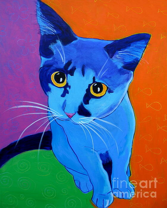 cat-kitten-blue-alicia-vannoy-call-003